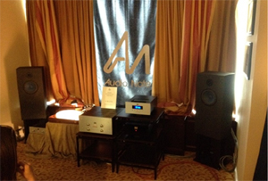 analog voice show 2013 2